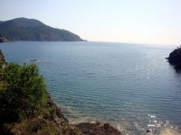 DSC06464