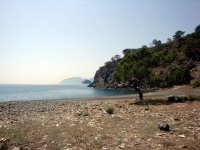 DSC06506