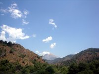 DSC06514