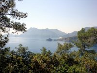 DSC06542