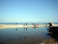 DSC07389