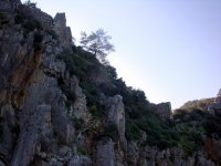 DSC07398