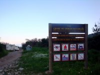 DSC07404