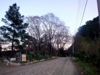 DSC07408