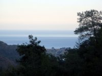 DSC07436