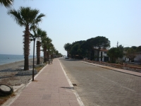 DSC00801