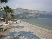 DSC00803