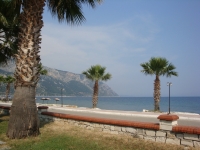 DSC00808