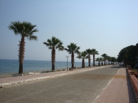 DSC00809