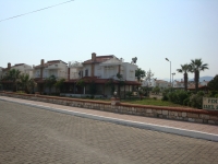DSC00810