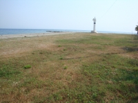 DSC00812