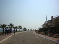 DSC00814