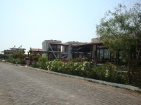 DSC00817