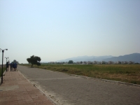 DSC00823