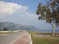 DSC00824
