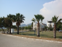DSC00825
