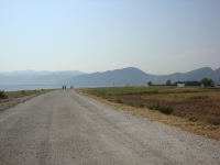 DSC00826