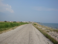 DSC00832