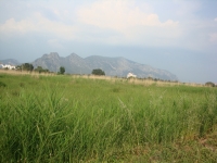 DSC00833