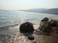 DSC00835