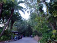 DSC04705