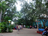 DSC04730