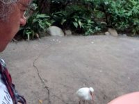 DSC04742