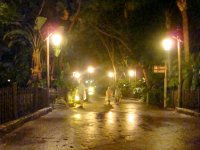 DSC04783