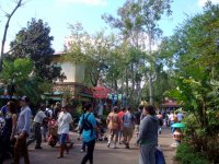 DSC04863