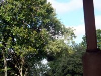 DSC04906