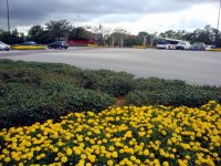 DSC04529