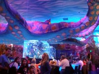 DSC04804