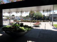 IMG_4758