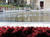 IMG_4894