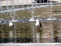 IMG_4895