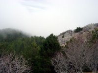 Aydın Paşayaylası