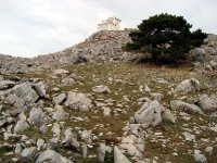 Aydın Paşayaylası