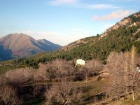 IMG_9700