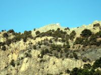 IMG_9706