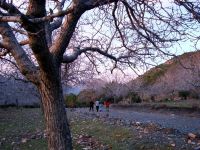 IMG_9709