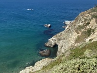 IMG_8444