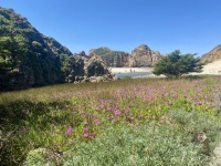 IMG_8458