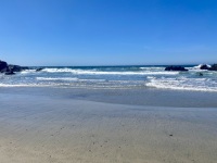 IMG_8468