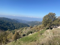IMG_5602