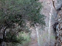IMG_3197