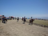 DSC07101