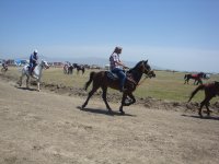 DSC07103