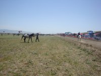 DSC07107