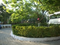 DSC08933