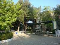 DSC08940